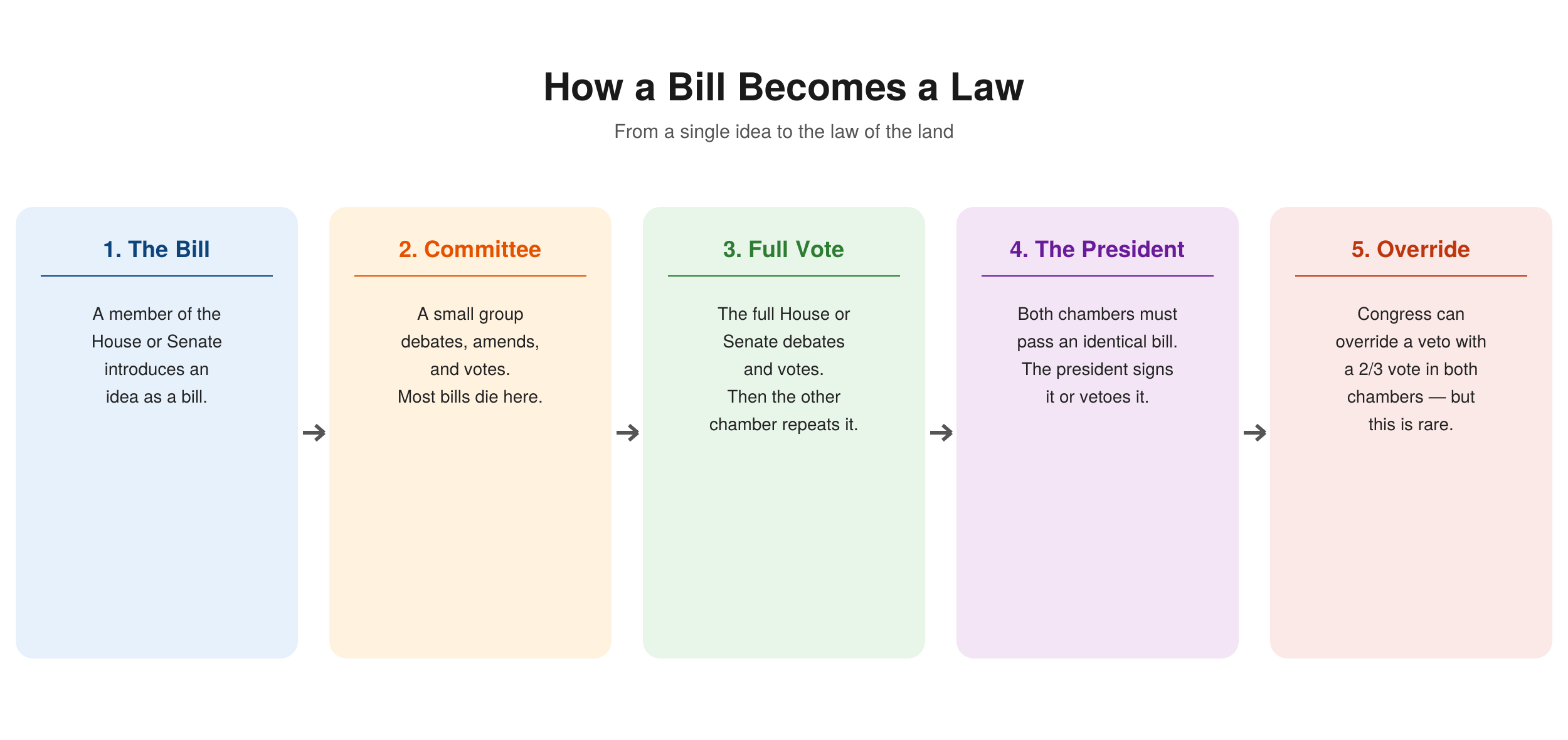 How a bill becomes a law in five steps — a member of Congress introduces the bill, a committee reviews it and most bills die here, the full House and Senate vote on identical versions, the president signs or vetoes it, and Congress can override a veto with a rare two-thirds vote in both chambers