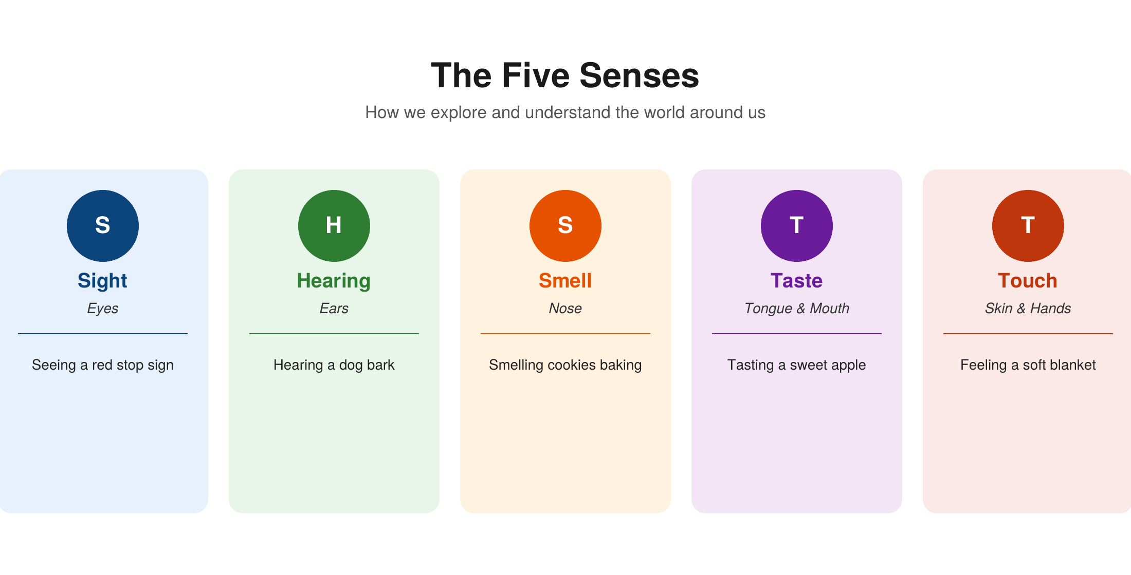 The five senses — sight (eyes), hearing (ears), smell (nose), taste (tongue and mouth), and touch (skin and hands) — each with an everyday example