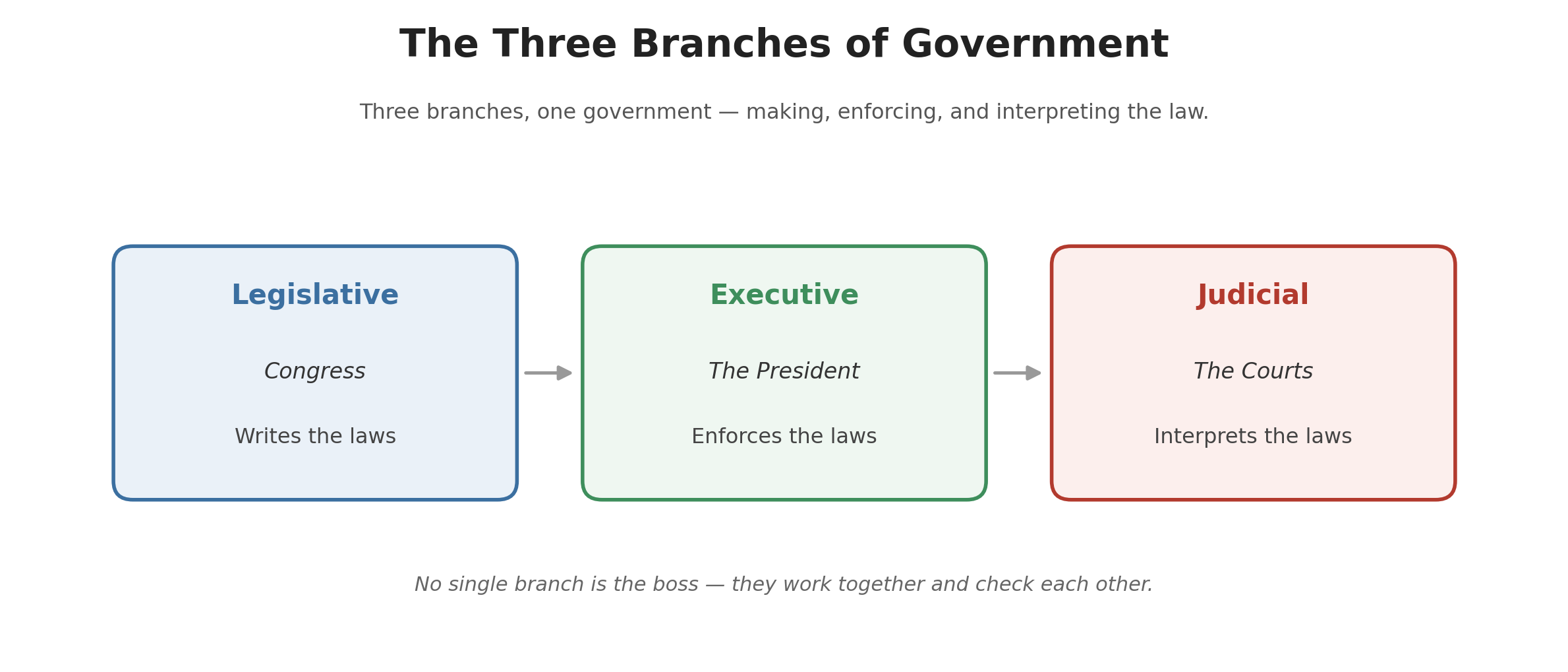 Diagram of the three branches of government — legislative, executive, and judicial — showing each branch's role